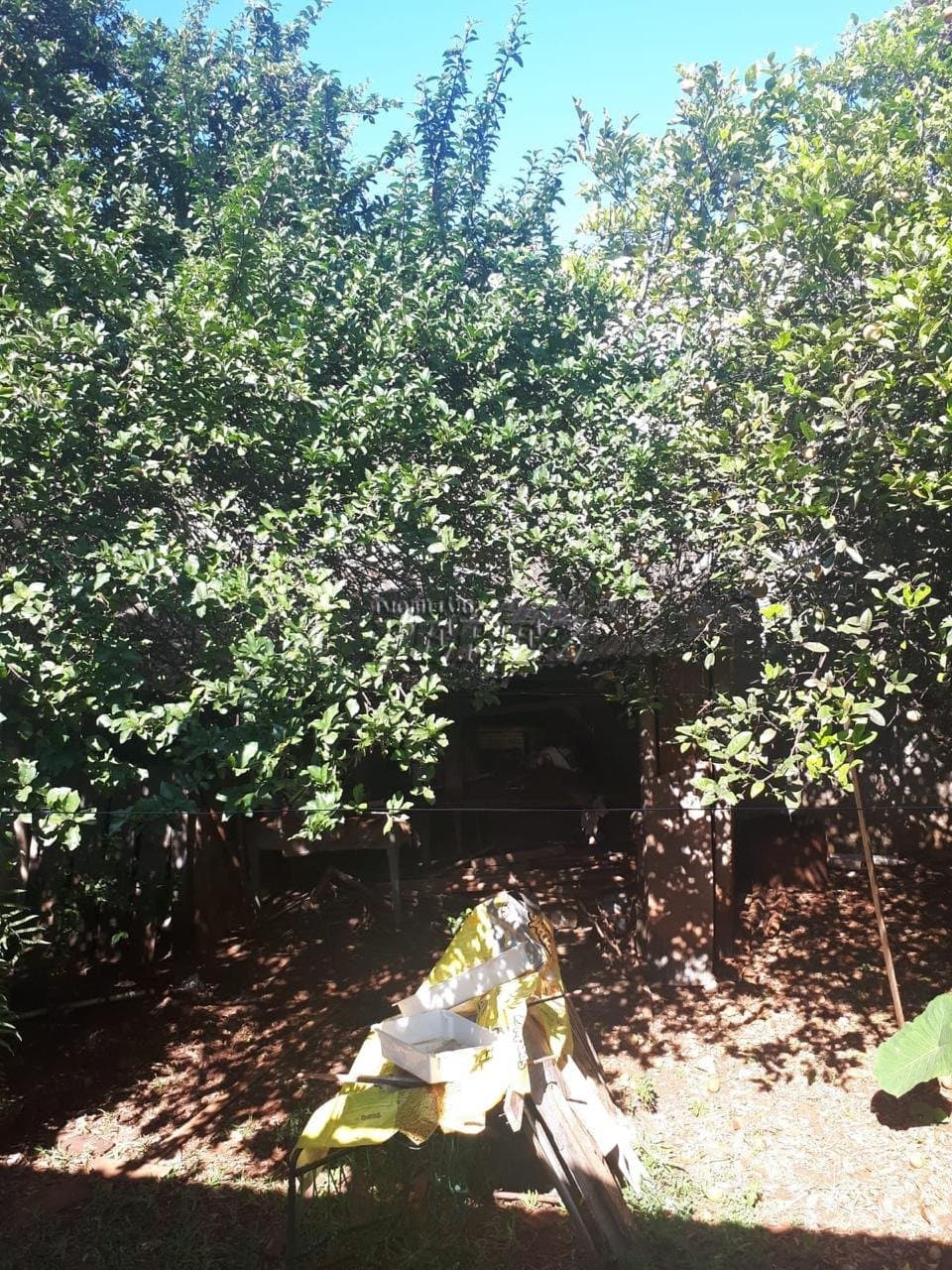 Terreno a venda na região central, no jardim Petrópolis - Foto 9