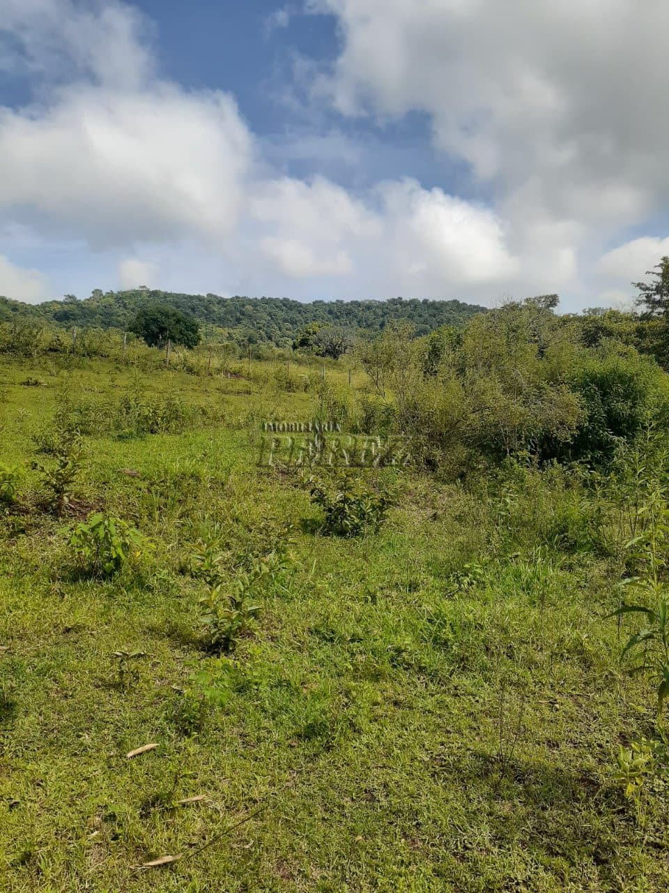 Chácara a venda na estrada do monjolinho em ibiporã - Foto 5