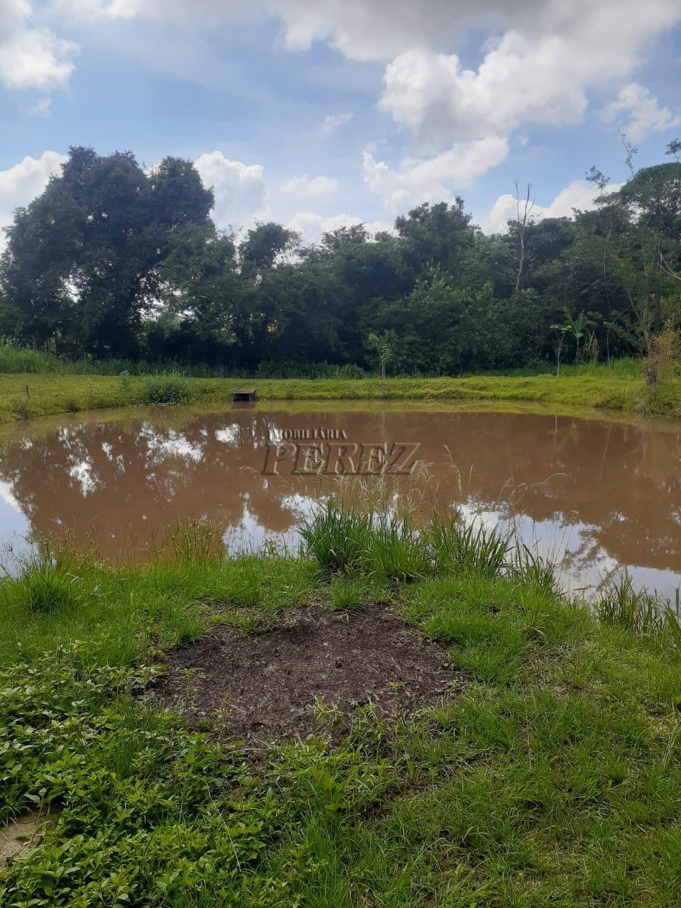 Chácara a venda na estrada do monjolinho em ibiporã - Foto 4