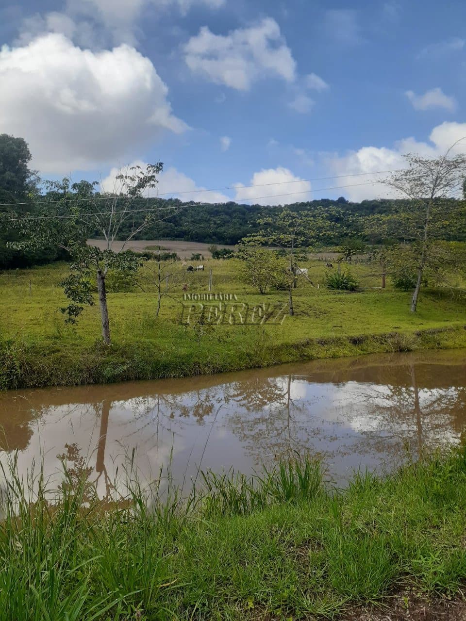 Chácara a venda na estrada do monjolinho em ibiporã - Foto 6