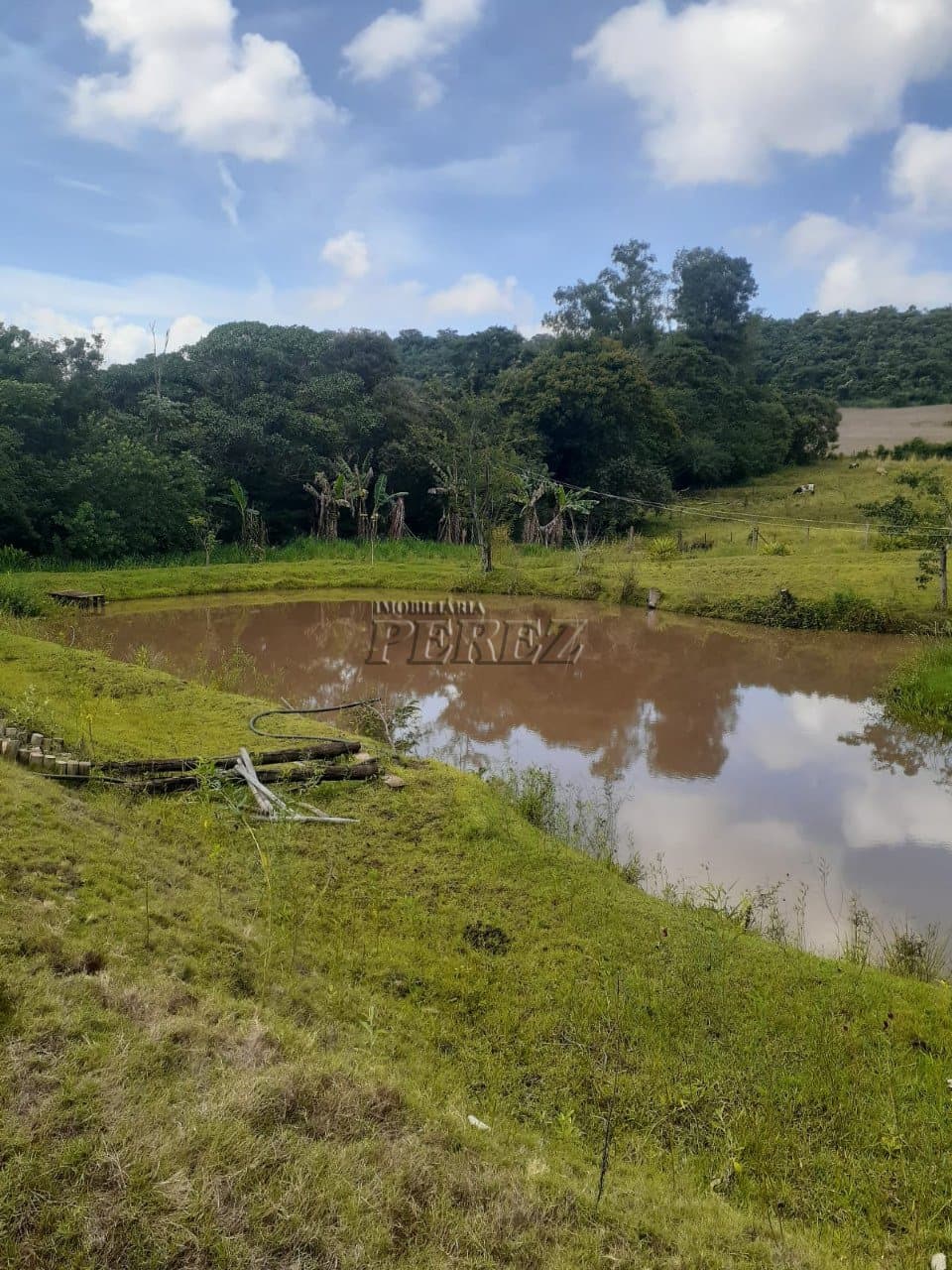 Chácara a venda na estrada do monjolinho em ibiporã - Foto 10