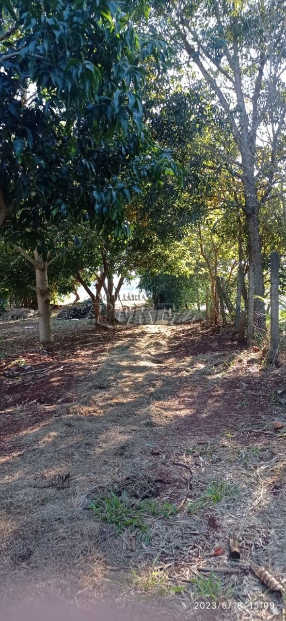 Characa a venda na Avenida Augusto Alves em Alvorada do Sul - Foto 31