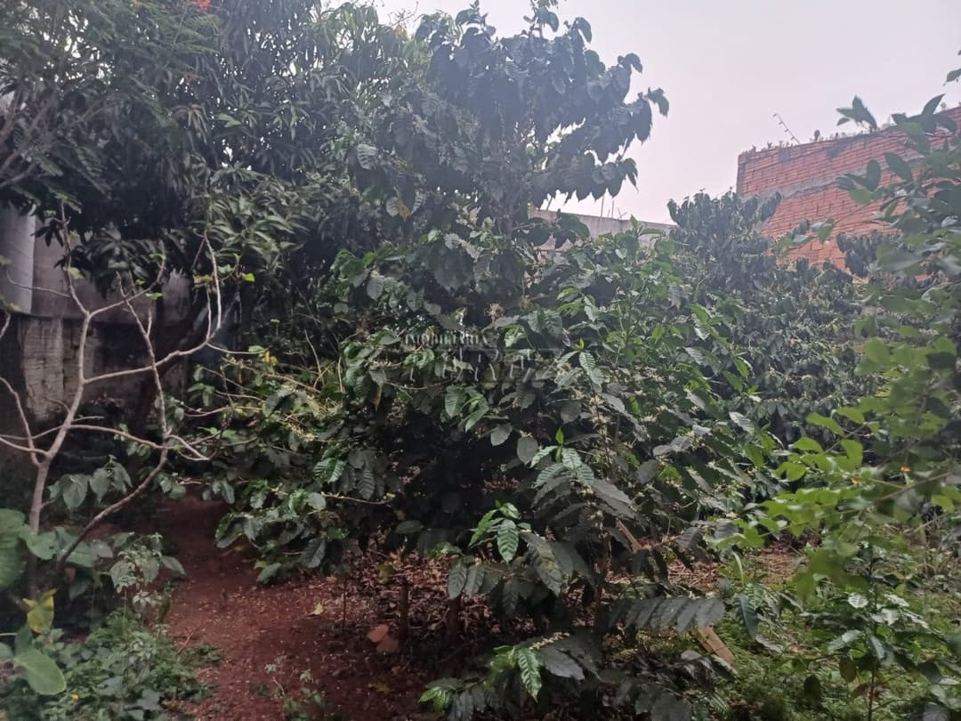 Imóvel comercial a venda na avenida Arthur Thomas - Foto 18