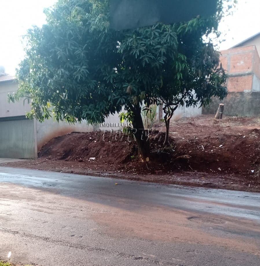 Terreno a venda na rua Francisco Mendes, no Alto da Boa Vista - Foto 2