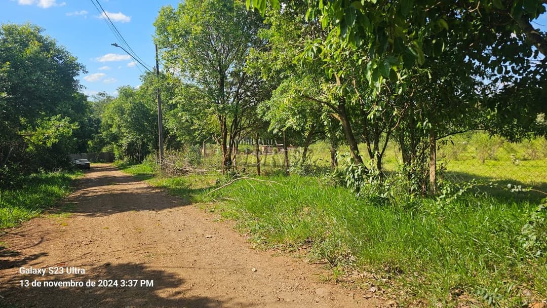 Chácara a venda na avenida das Maritacas, Gleba Primavera, zona Leste de Londrina - Foto 13
