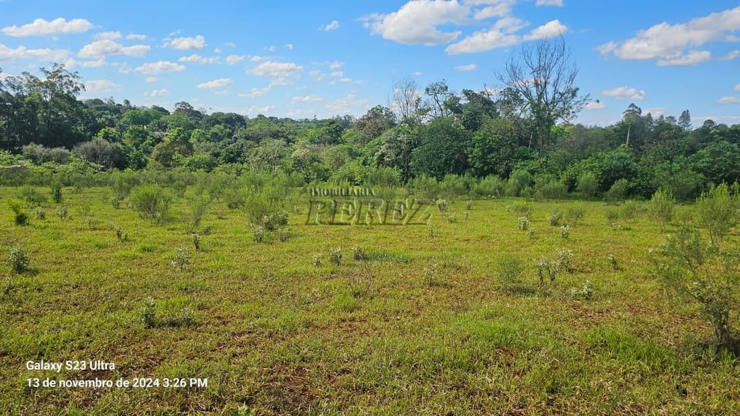 Chácara a venda na avenida das Maritacas, Gleba Primavera, zona Leste de Londrina - Foto 16