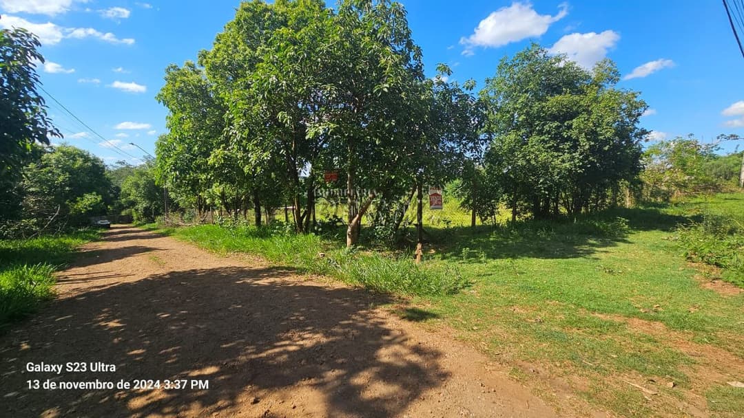 Chácara a venda na avenida das Maritacas, Gleba Primavera, zona Leste de Londrina - Foto 8