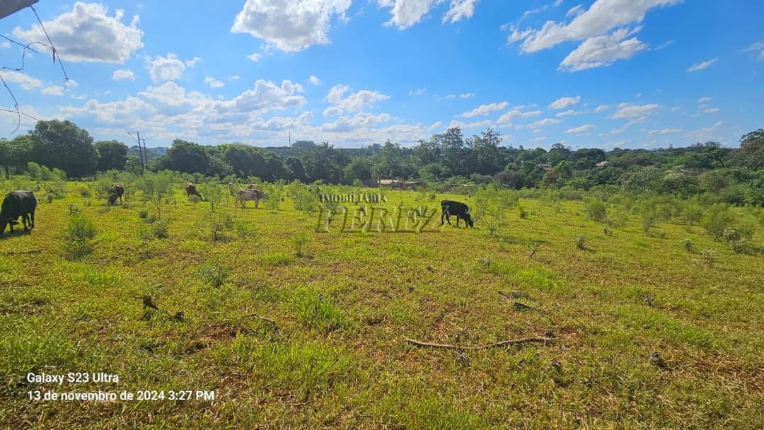 Chácara a venda na avenida das Maritacas, Gleba Primavera, zona Leste de Londrina - Foto 2