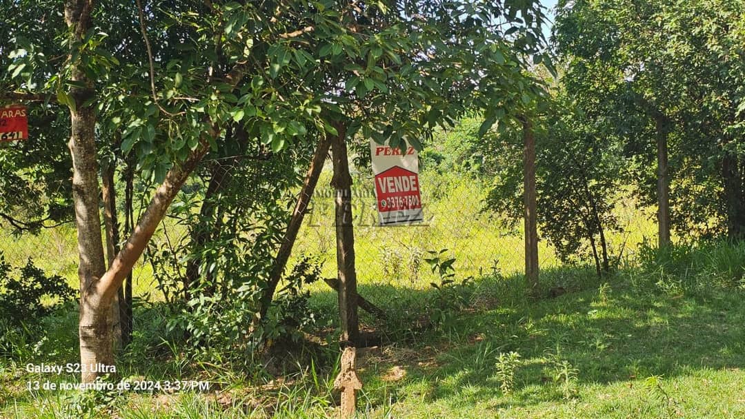 Chácara a venda na avenida das Maritacas, Gleba Primavera, zona Leste de Londrina - Foto 4