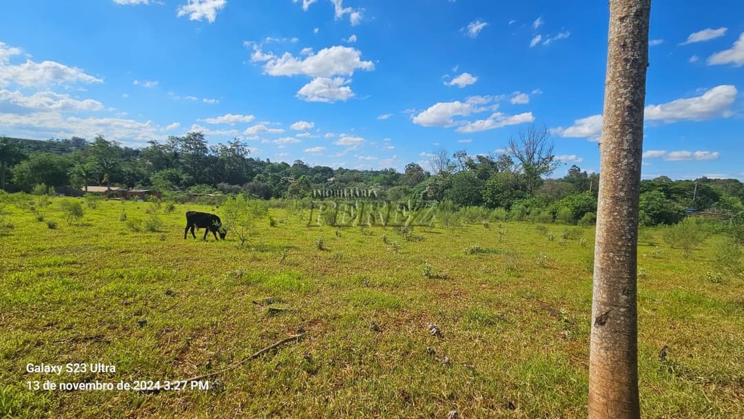 Chácara a venda na avenida das Maritacas, Gleba Primavera, zona Leste de Londrina - Foto 17