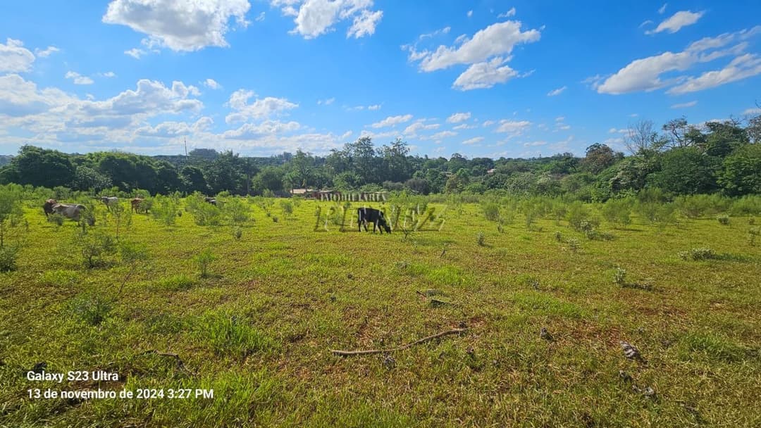 Chácara a venda na avenida das Maritacas, Gleba Primavera, zona Leste de Londrina - Foto 19