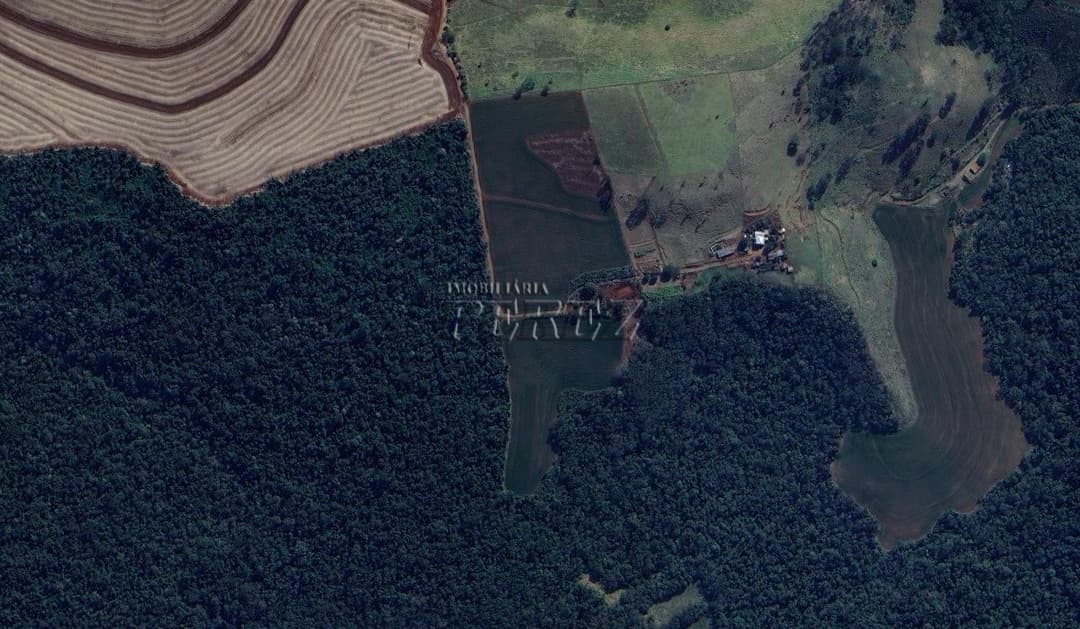 Sitio a venda na Estrada do Bulle atras da Fazenda do Bulle em Arapongas - Foto 2