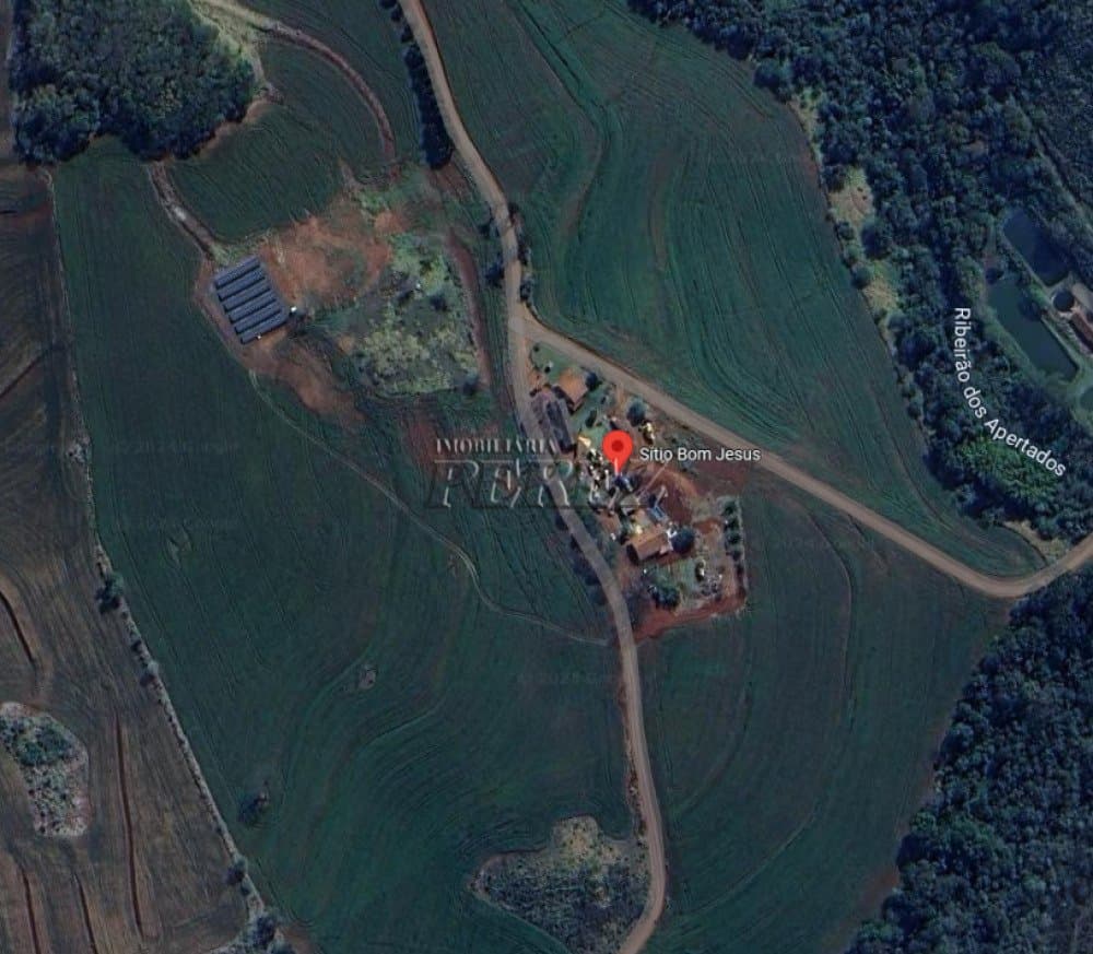 Sitio a venda na Estrada do Bulle atras da Fazenda do Bulle em Arapongas - Foto 3