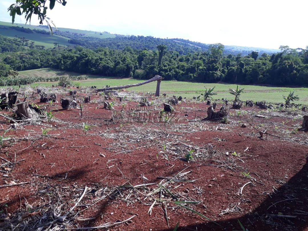 Sitio a venda na Estrada do Bulle atras da Fazenda do Bulle em Arapongas - Foto 1