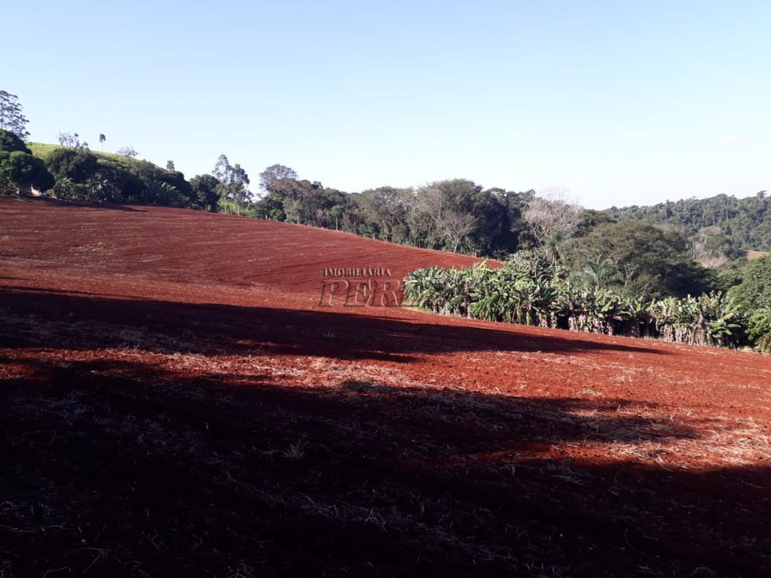 Sitio a venda na Estrada do Bulle atras da Fazenda do Bulle em Arapongas - Foto 0