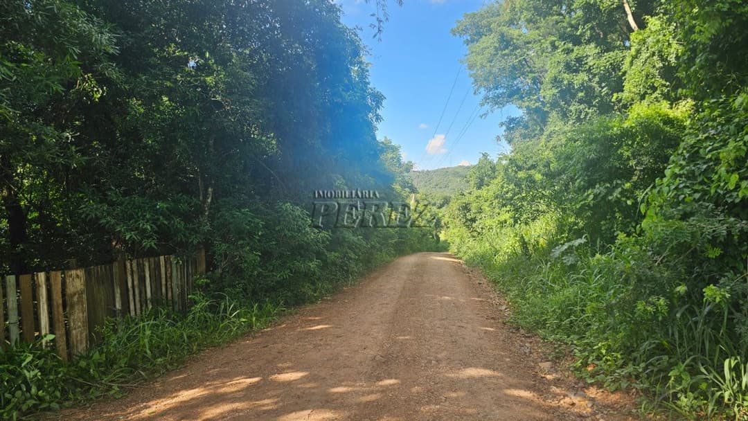 Sitio a venda na Estrada do Galo, Sitio Recanto da Cascavel - Foto 5