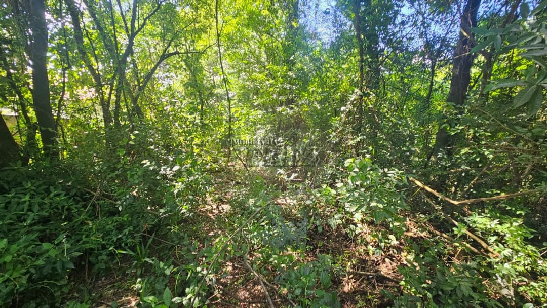 Sitio a venda na Estrada do Galo, Sitio Recanto da Cascavel - Foto 8