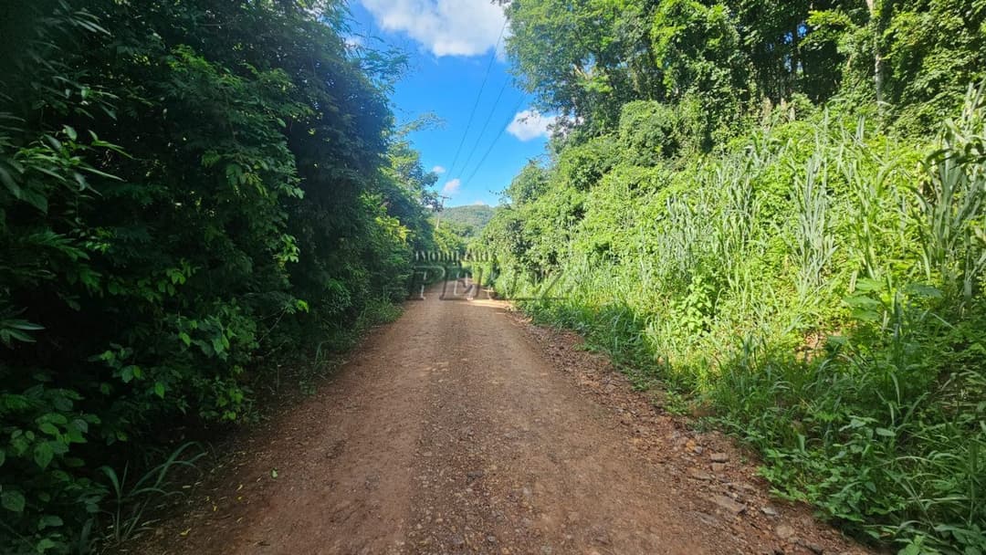 Sitio a venda na Estrada do Galo, Sitio Recanto da Cascavel - Foto 6