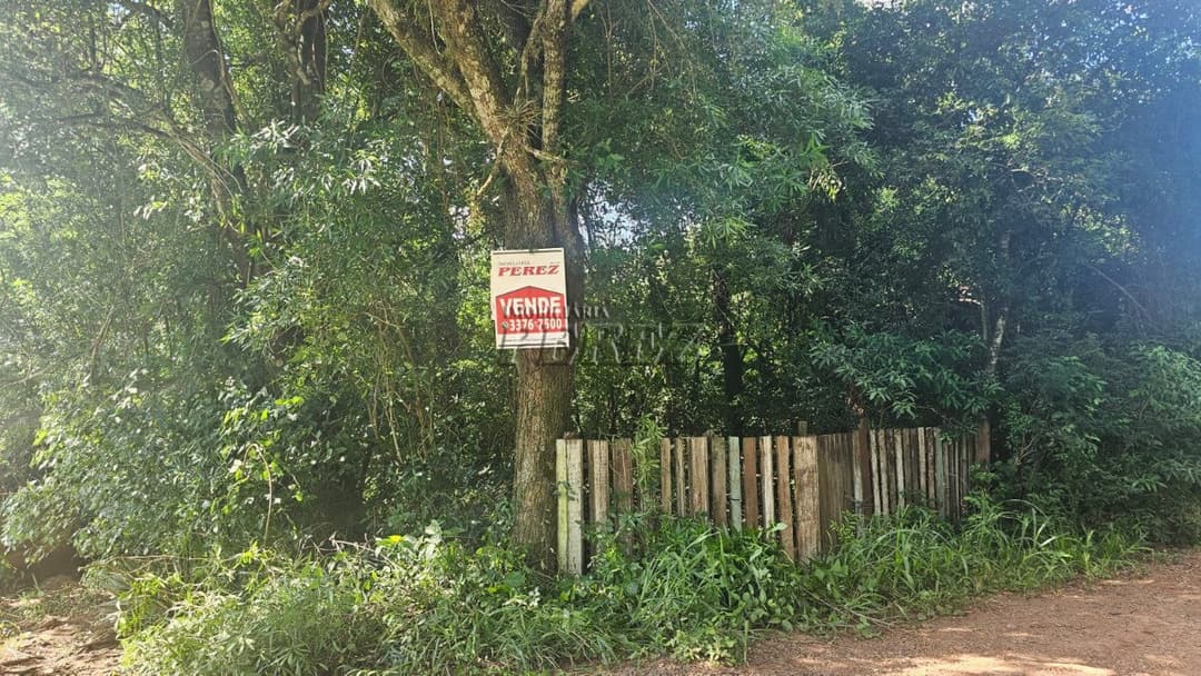 Sitio a venda na Estrada do Galo, Sitio Recanto da Cascavel - Foto 1