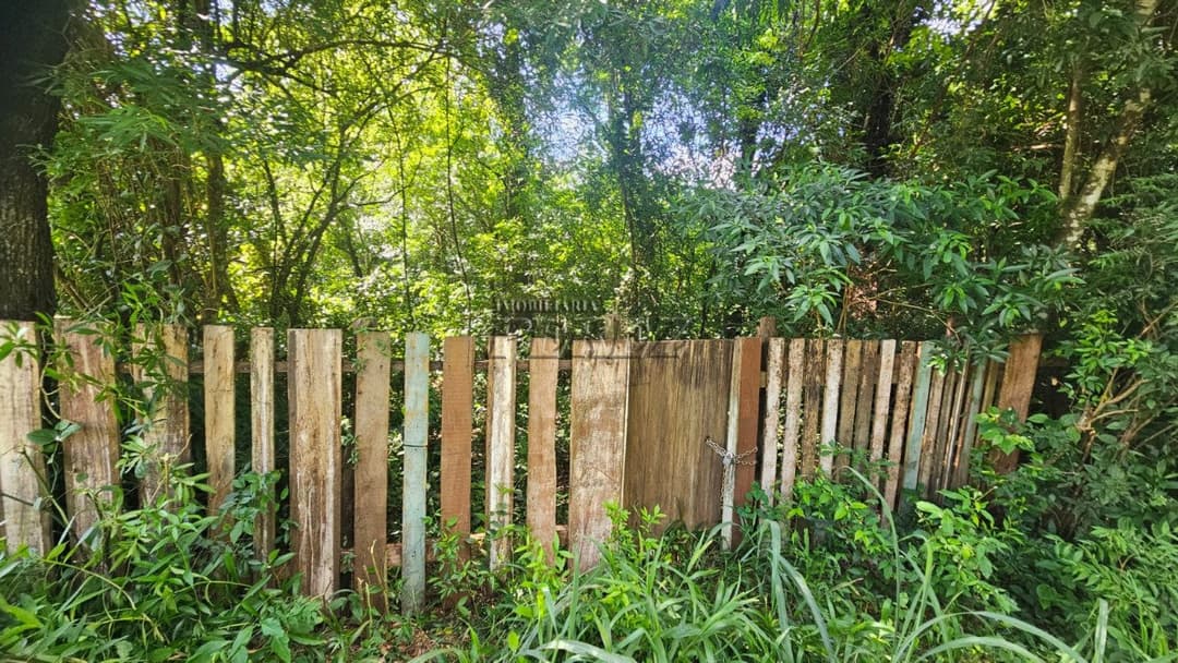 Sitio a venda na Estrada do Galo, Sitio Recanto da Cascavel - Foto 3