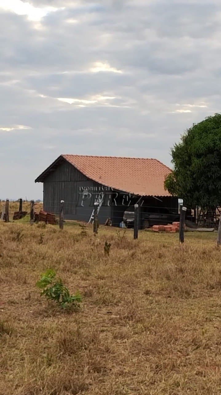 Fazenda à Venda - Coxim, MS - Foto 15