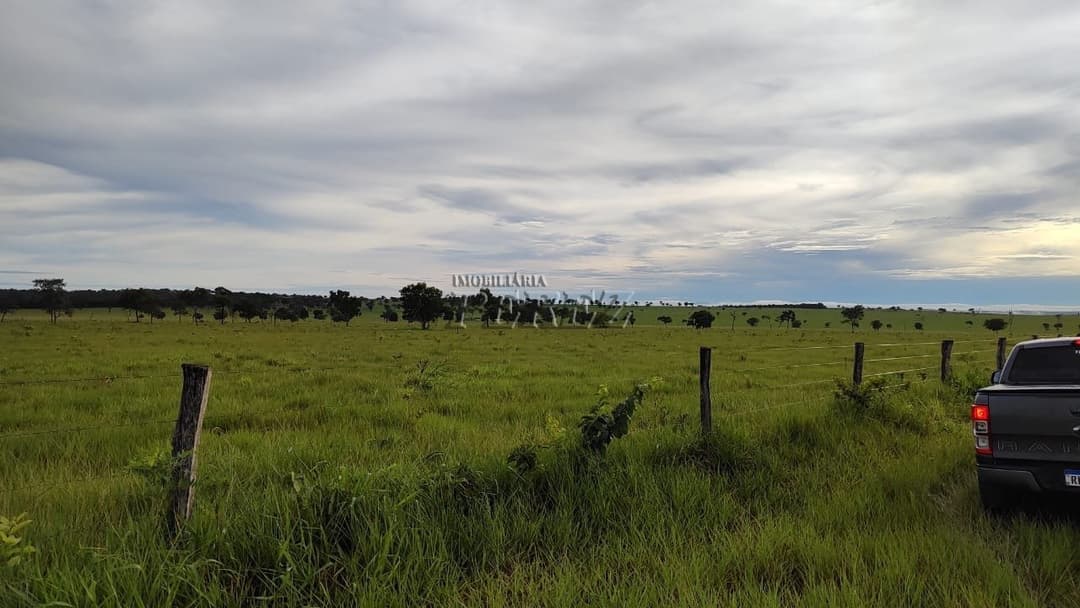 Fazenda à Venda - Coxim, MS - Foto 4