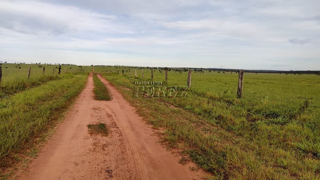 Fazenda à Venda - Coxim, MS - Foto 1