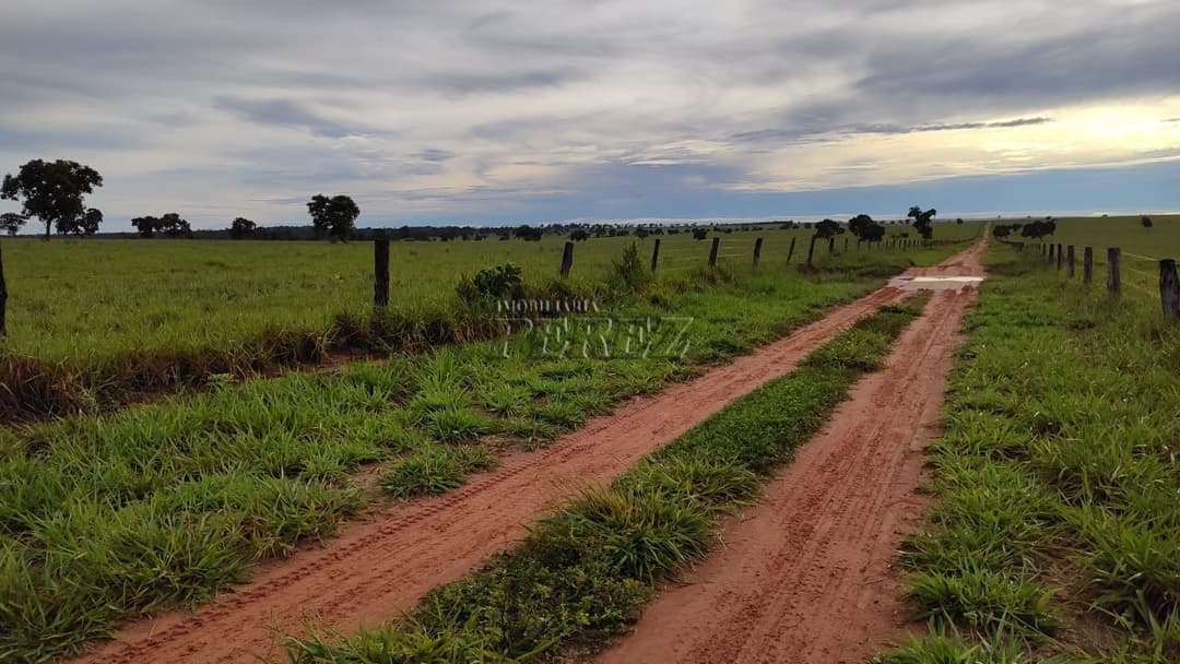 Fazenda à Venda - Coxim, MS - Foto 2