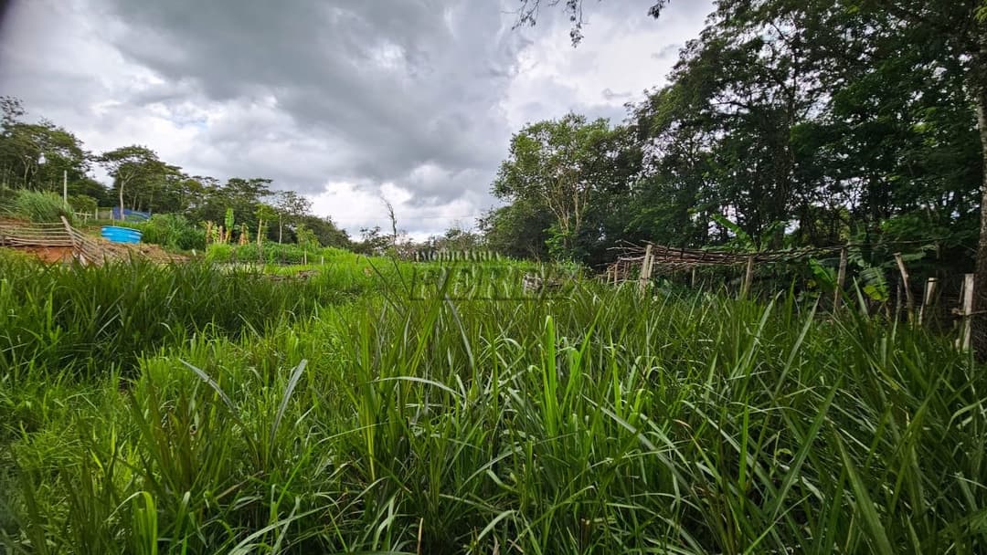 Casa à Venda na rua Pau Brasil no Condomínio Itaúna - Foto 1