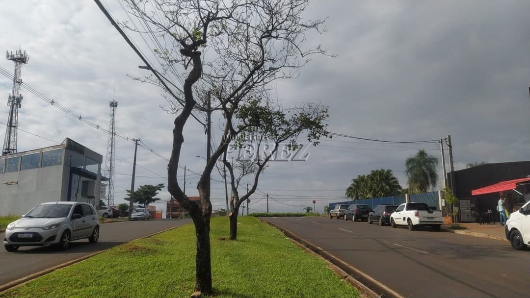 Barracão à Venda - Rua Águia Imperial, Jardim Paraíso, Zona Norte de Londrina - Foto 3